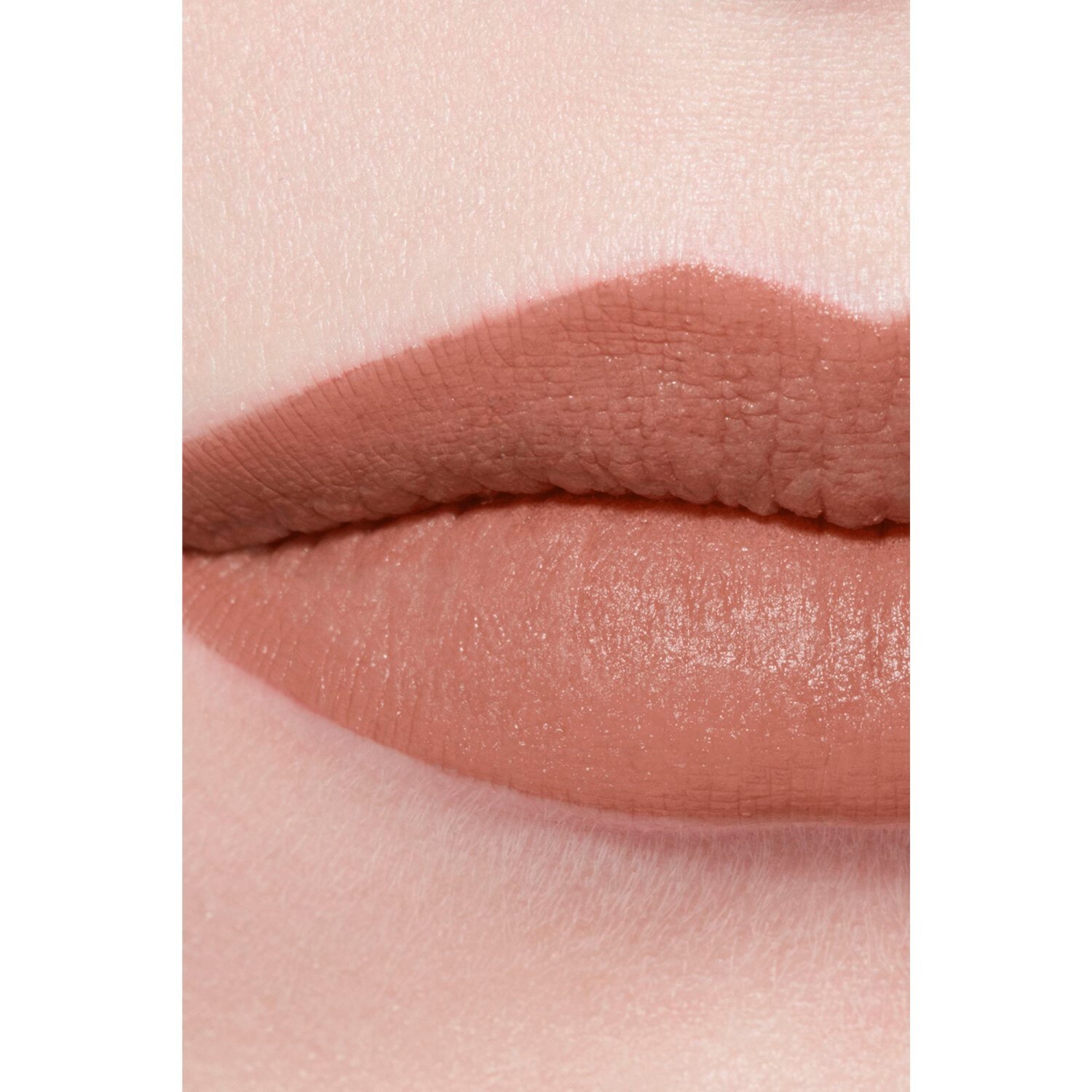 LA BARRA DE LABIOS ATERCIOPELADA LUMINOSA